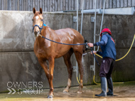 BP200326-50 - It's Hard To Know